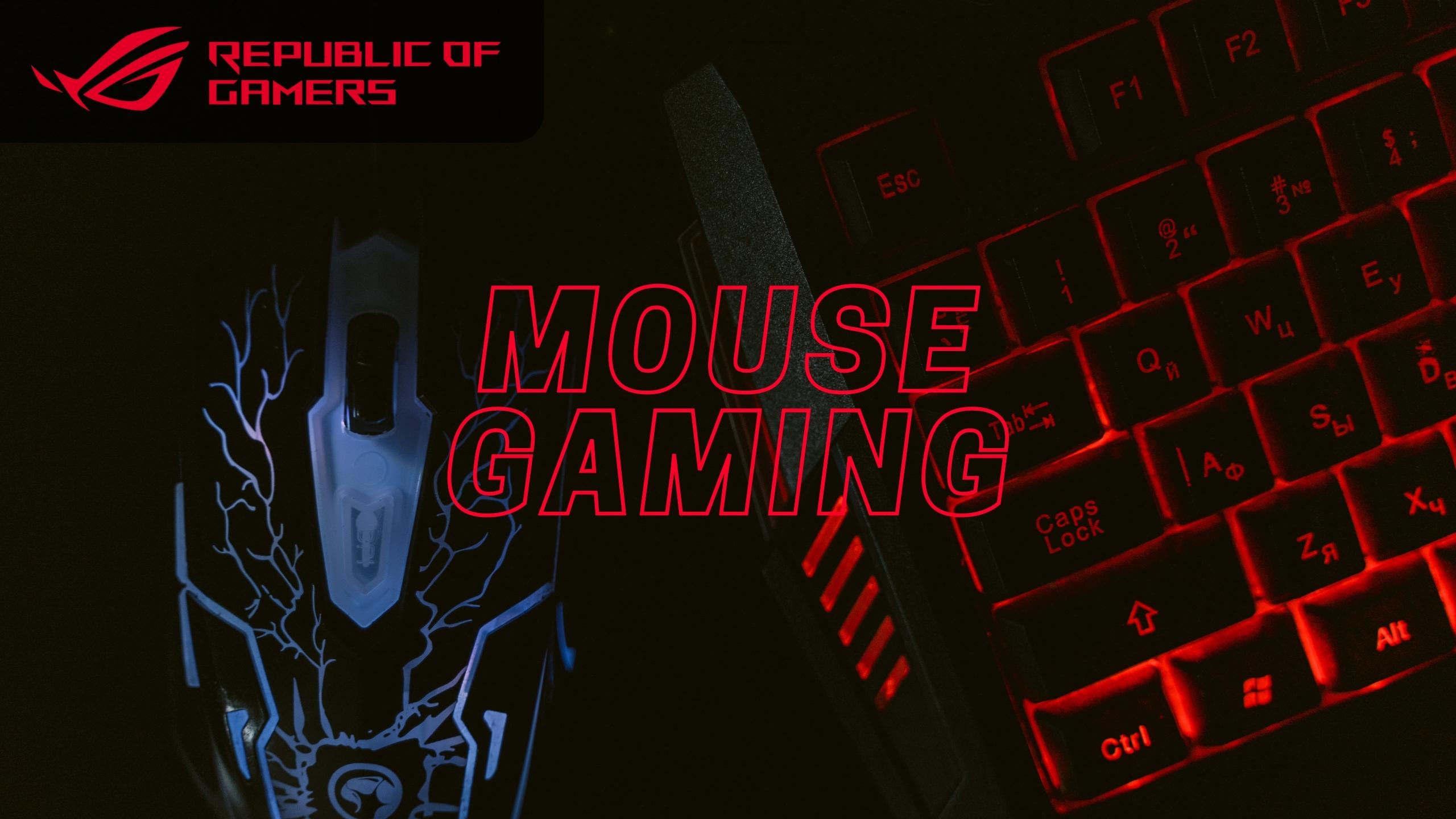 Cara Setting Mouse Gaming Macro Lewat Driver