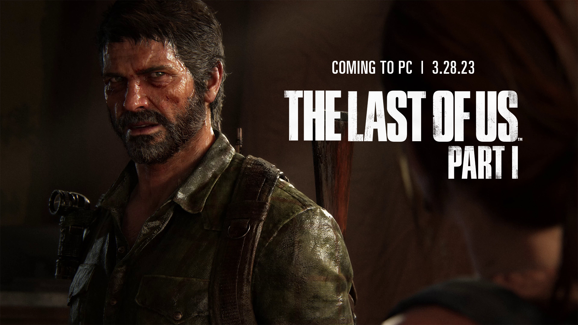 the last of us pc