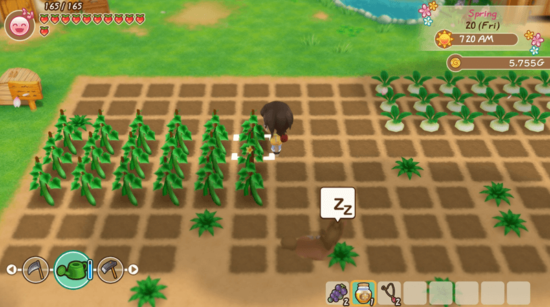 STORY OF SEASONS Friends of Mineral Town