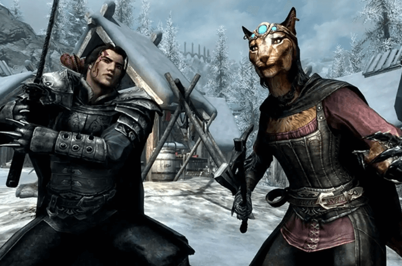 The Elder Scrolls V Skyrim