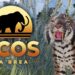 Ecos La Brea